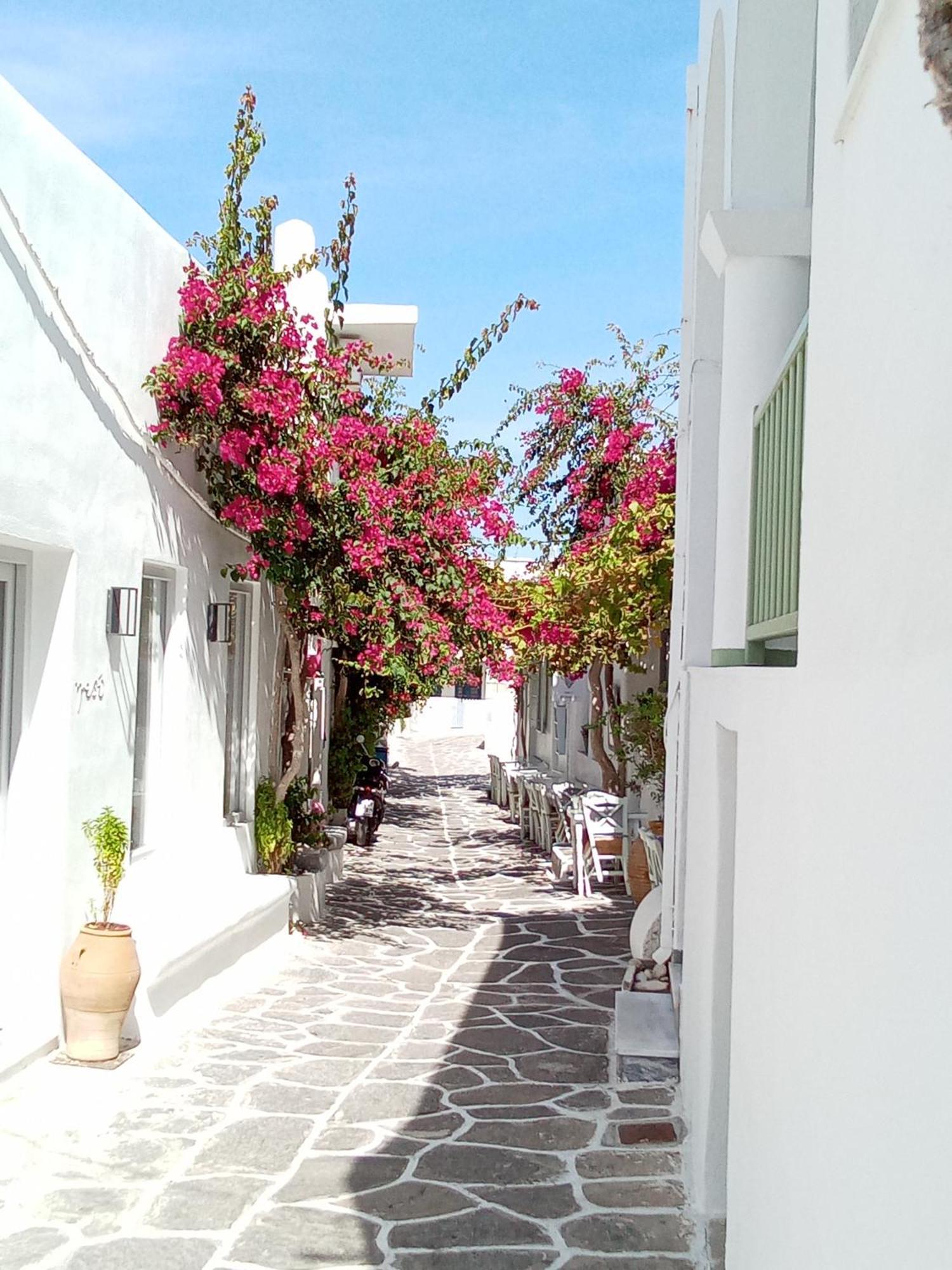 Sunloft-Paros Aparthotel Náusza Kültér fotó